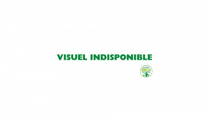 VISUEL INDISPONIBLE 1 300x169