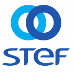 STEFok